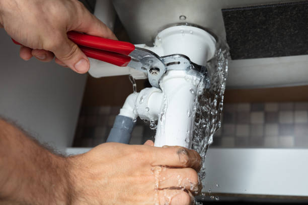 Best Basement water damage restoration  in Makaha, HI