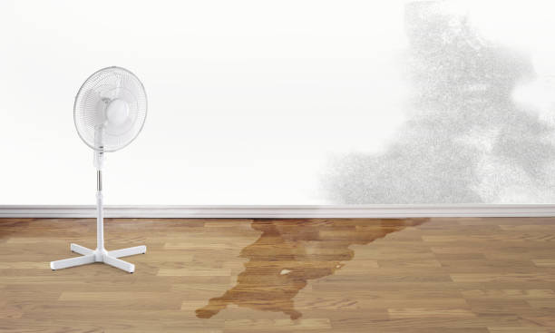 Best Water damage cleanup near me  in Makaha, HI