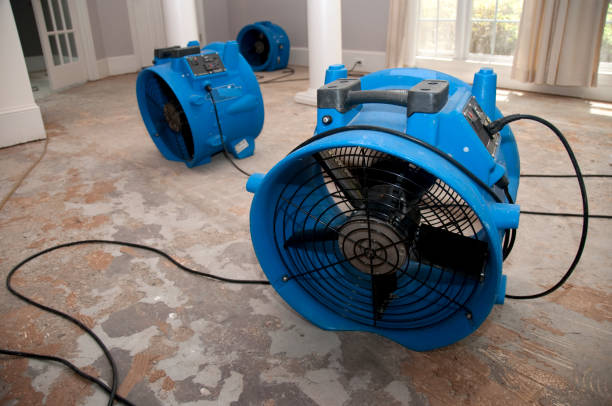 Best Mold removal after water damage  in Makaha, HI
