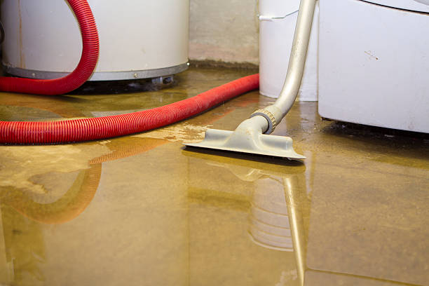 Best Professional water damage repair  in Makaha, HI