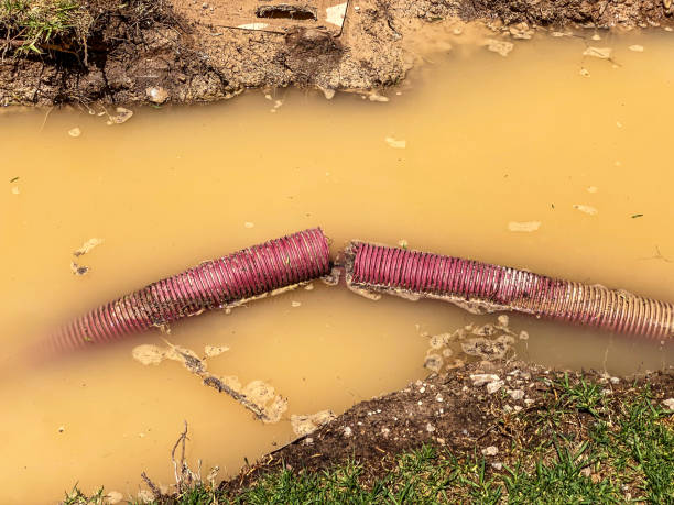 Water damage restoration process in Makaha, HI